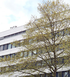 Abacus Engineers, Sinstorfer Kirchweg 74-92, D-21077 Hamburg